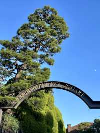 A Relaxing Walk Through Kurashiki – Where Time Slows Down