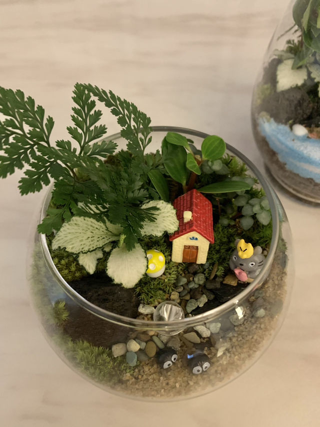 🌿 종로 테라리움 원데이 클래스 후기 🌿