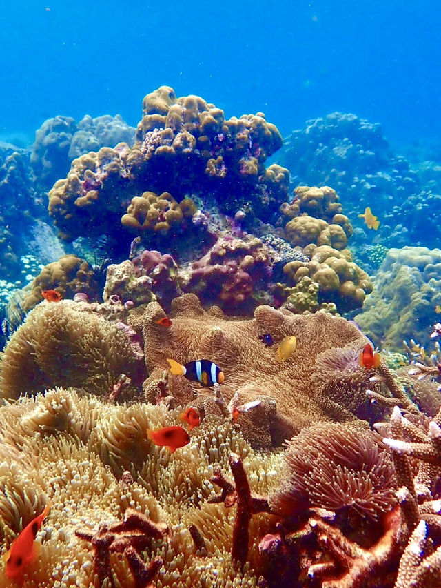 ありのままの自然がここに。シミランで心をリセット🌿🌊