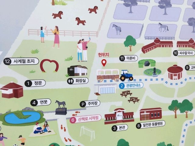 제주 목장 투어 - 마사회 제주 목장 (경주마 교배지)