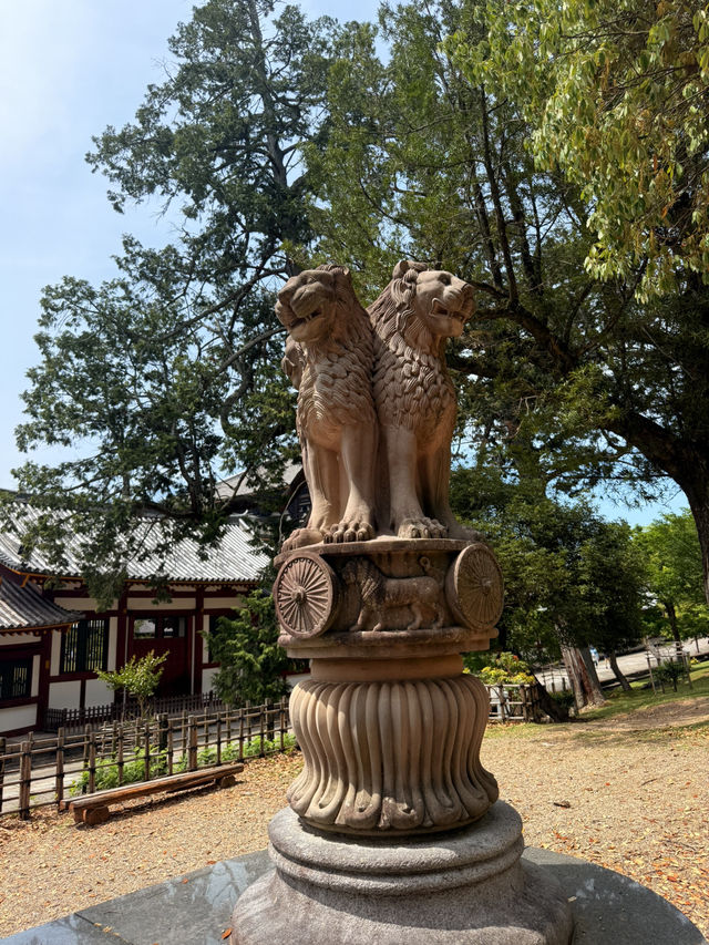 奈良｜5層樓高莊嚴大佛 到聖武天皇蓋的東大寺感受千年歷史