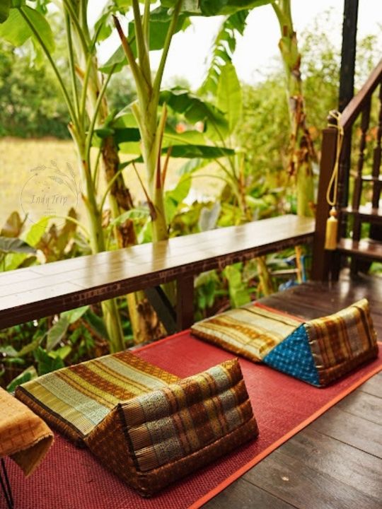 🍸 จิบกาแฟชิลล์ริมท้องนา บ้านมะขวิด