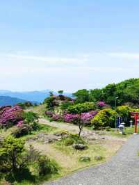 別府半日遊，賀見岳纜車，可飽覽整個別府灣