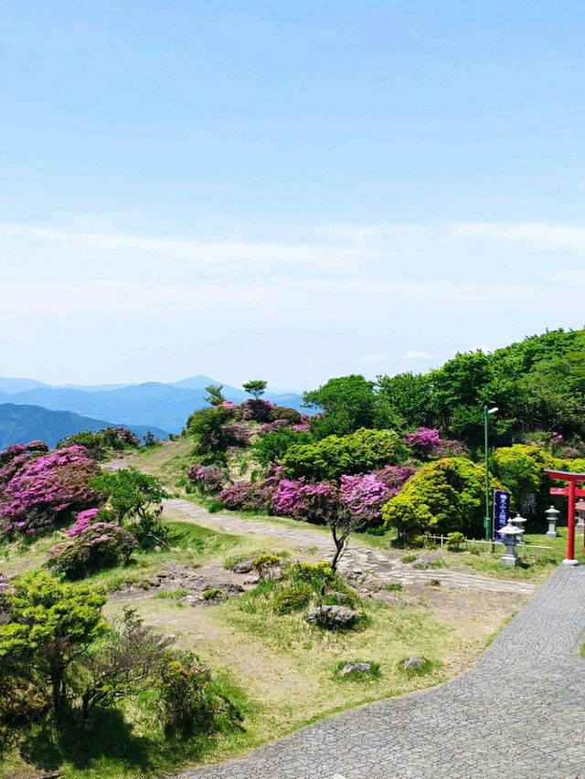 別府半日遊，賀見岳纜車，可飽覽整個別府灣