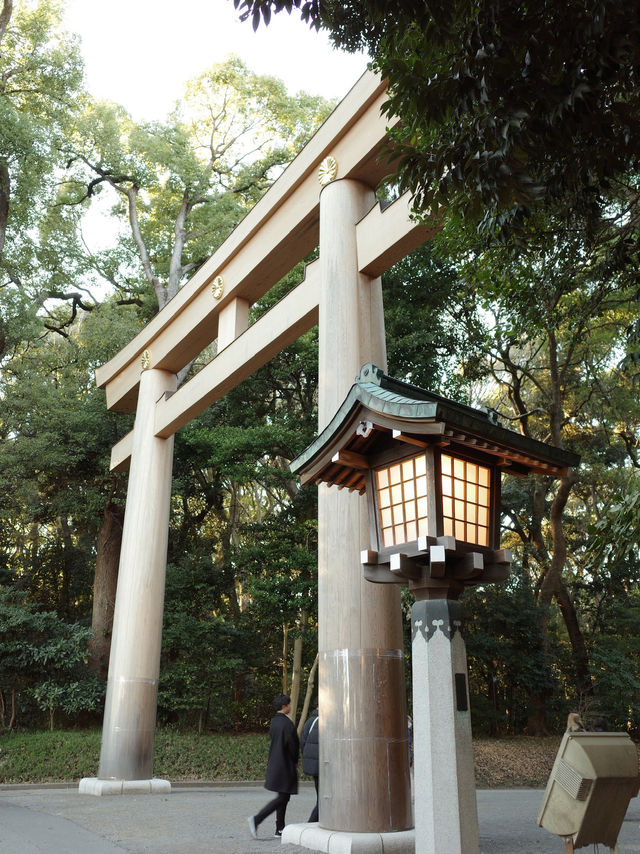 【明治神宮】都会の真ん中で、心が洗われる森へ🌿⛩️