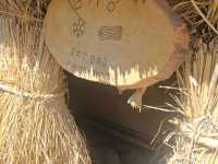 Korean Folk Village ♡หมู่บ้านวัฒนธรรมเกาหลี~ยงอิน