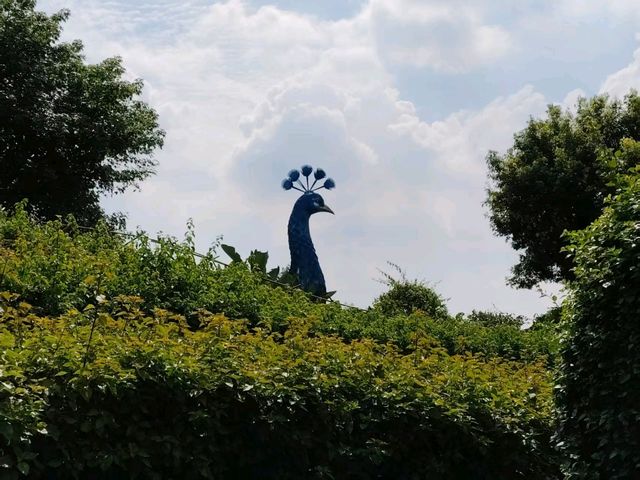 🪴Citywalk 東莞植物園