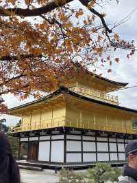 🏯【京都 北山】水面にきらめく、静寂の金色。「金閣寺」で心をととのえる旅🌿✨ 