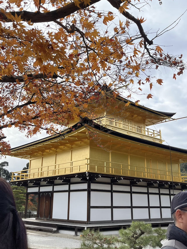 🏯【京都 北山】水面にきらめく、静寂の金色。「金閣寺」で心をととのえる旅🌿✨ 