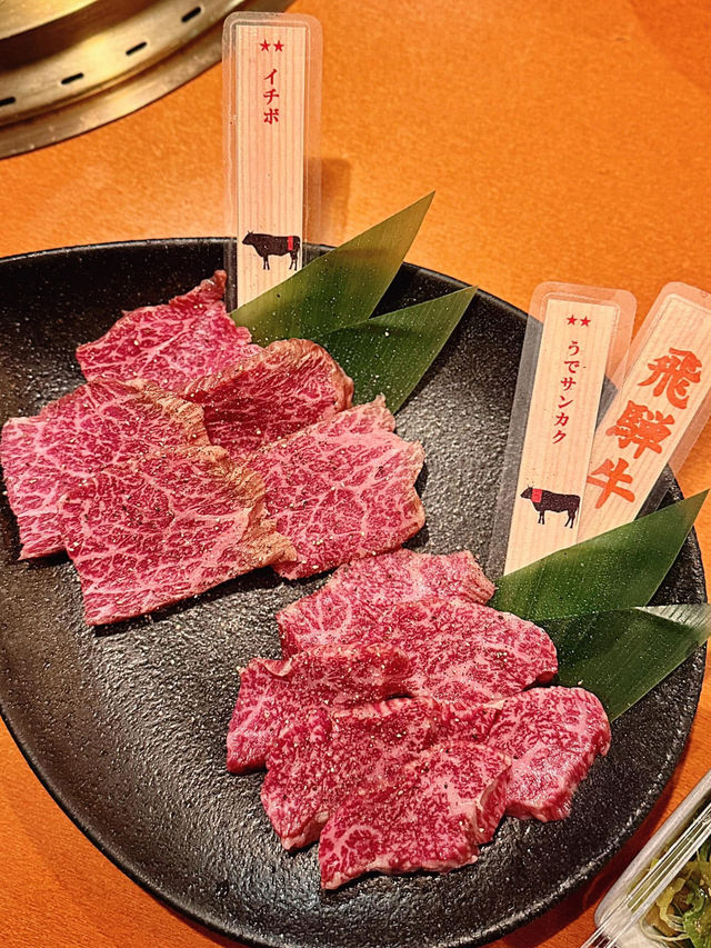 高山🇯🇵 有個套餐是 飛驒牛33種部位 一次上桌！
