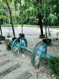 Summer Hiking Escape at Taman Tugu Forest Trail