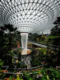 A Mesmerizing Oasis – Jewel Changi’s Rain Vortex
