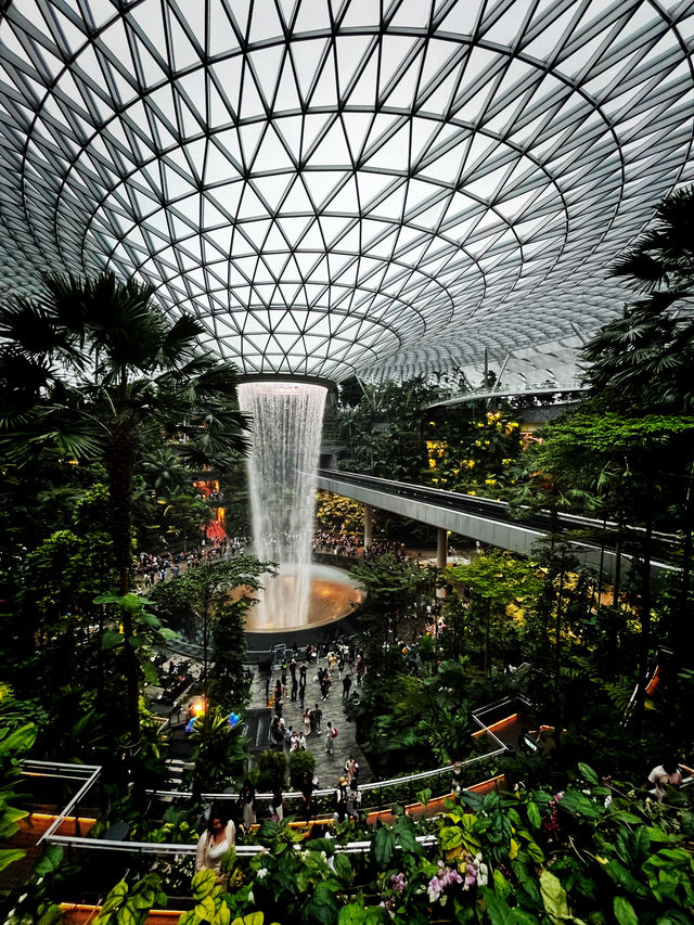 A Mesmerizing Oasis – Jewel Changi’s Rain Vortex