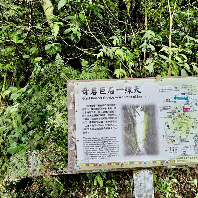 五峰山採桃樂及五指山登山趣