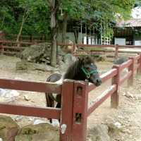 Bonanza Exotic park