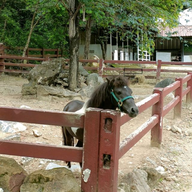 Bonanza Exotic park