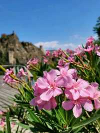Tbilisi Botanical Garden – Nature’s Secret in the Heart of the City
