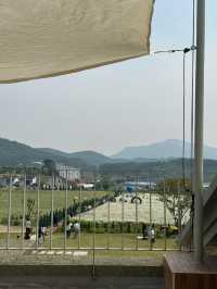  🌲☀️아산 샤스타데이지 카페 카페지새울