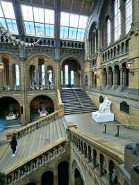Discover Nature’s Wonders, Dinosaurs & more for Free! A Day at London’s Natural History Museum. 