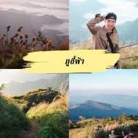 แจกพิกัดเชียงราย - ที่พัก คาเฟ่ ร้านเด็ด และที่พัก