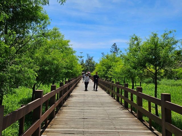恍如仙境的台東森林公園琵琶湖