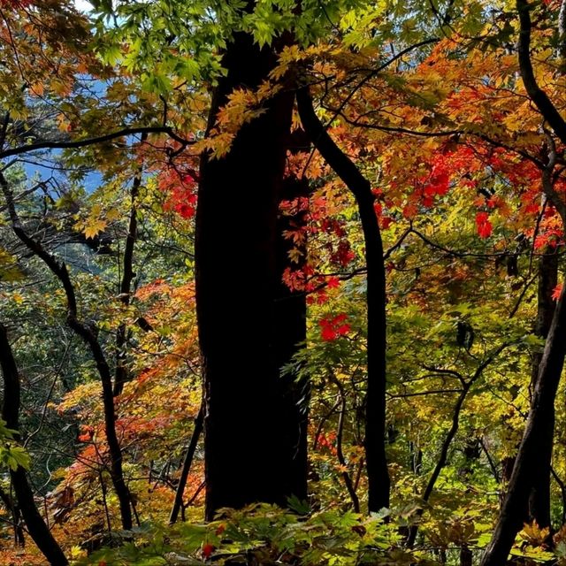 Getting Lost (In the Best Way) at Juwangsan National Park