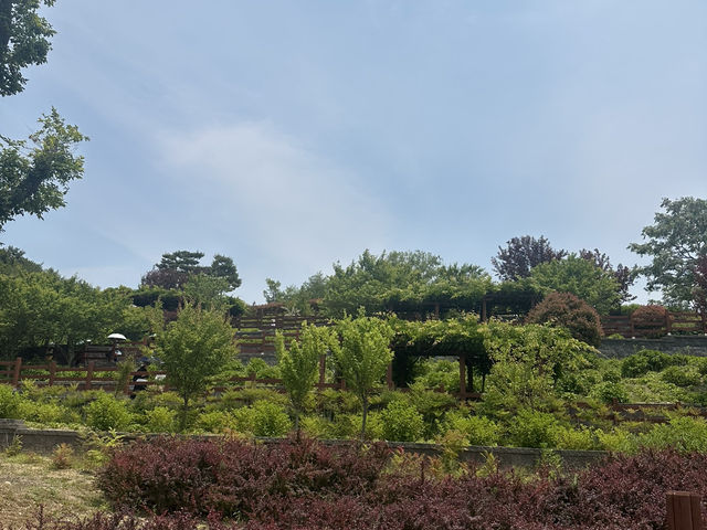 도심 속 자연 힐링 공간, ‘해운대 수목원’ 리뷰 🌳🌼