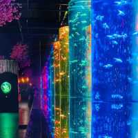Swimming in Light: Tokyo’s Mesmerizing Art Aquarium in Ginza 🇯🇵