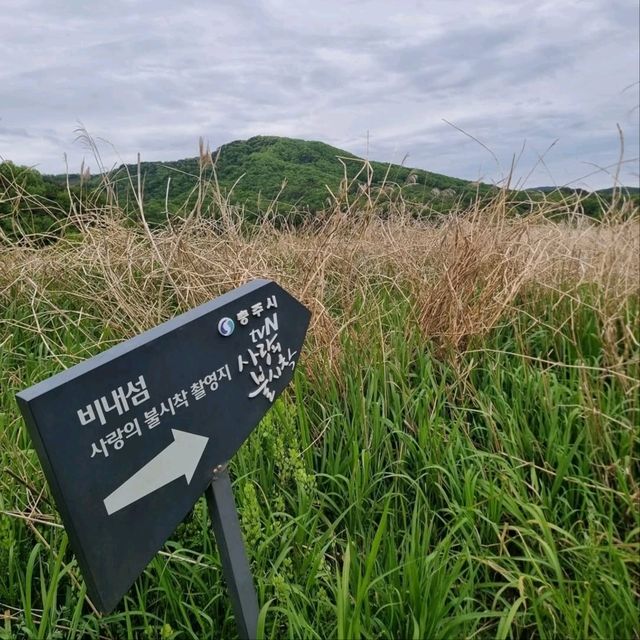 Chungju Forest & Hot Spring Feels