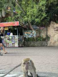 Batu caveee