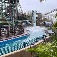 Osaka Steal: The Secret Local Deal! 💰🎢