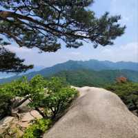 Quiet Trails, Forest Feels, and a Sneaky-Good Summit