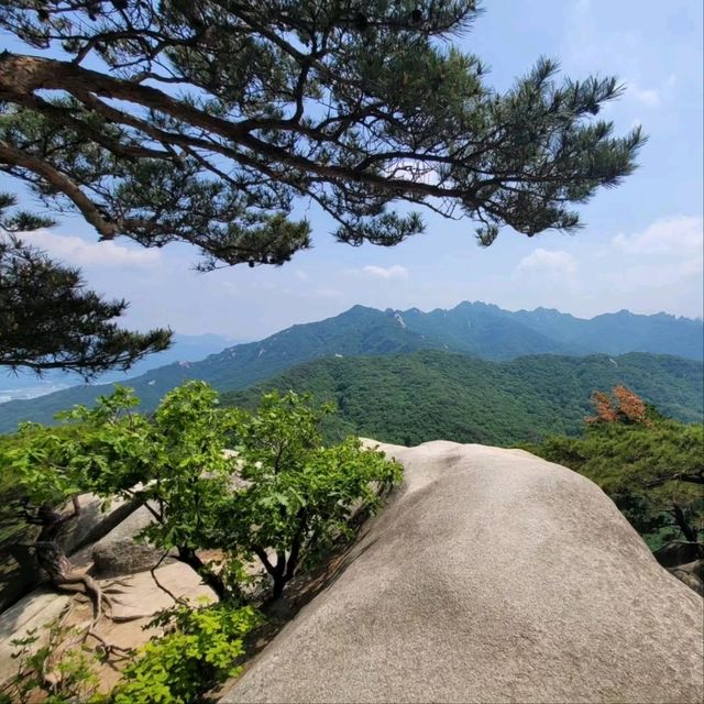 Quiet Trails, Forest Feels, and a Sneaky-Good Summit