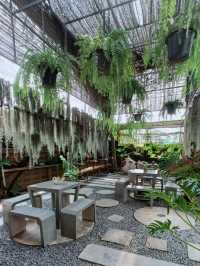 ซิมฮง คาเฟ่ |พิจิตร