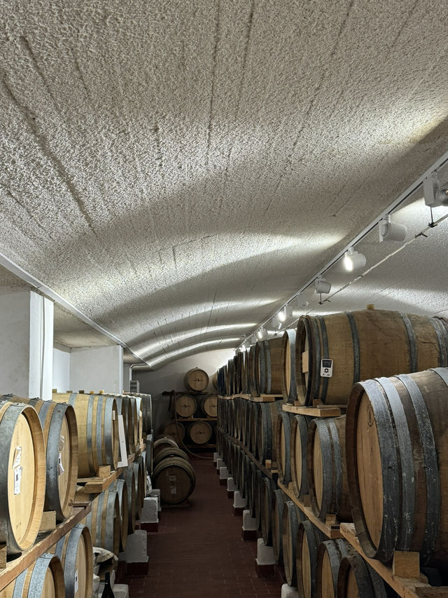 【ギリシャ🇬🇷】サントリーニ島でワイナリーツアーとテイスティング🍷