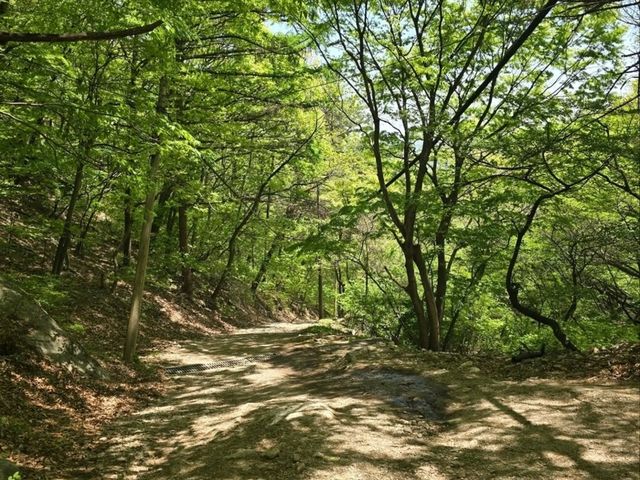 Daejeon’s Double Trouble Trail