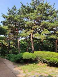 The Namsan Outdoor Botanical Garden