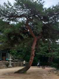 돌에서 소리가 ‘땡땡’! 