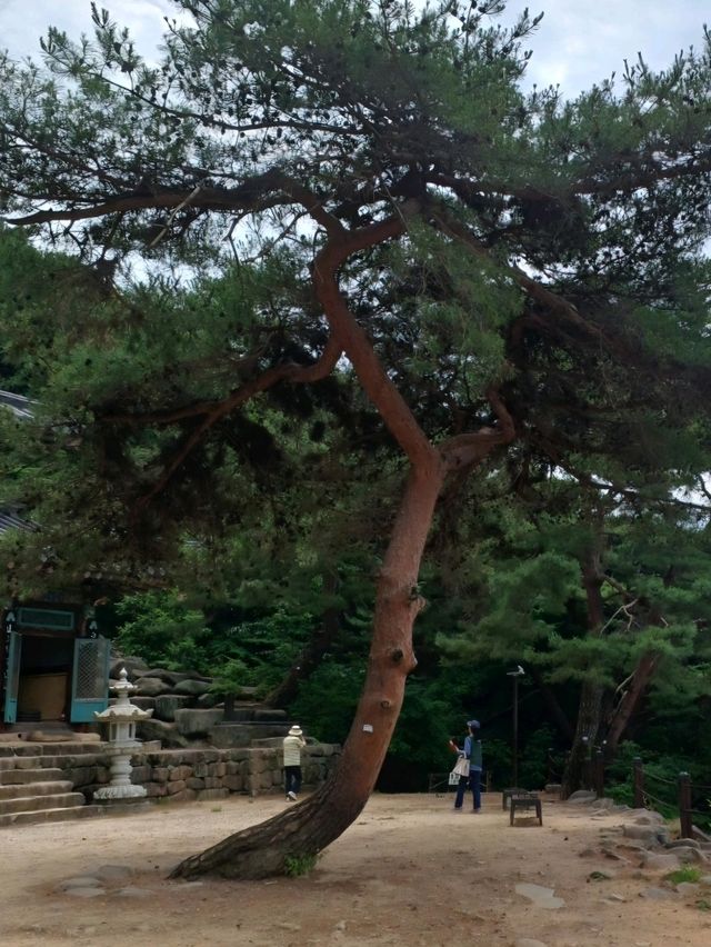 돌에서 소리가 ‘땡땡’! 
