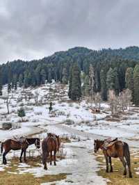 Pahalgam Kashmir