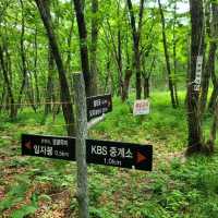 Rocky Ridges & Peaceful Vibes, Ilwolsan Delivers