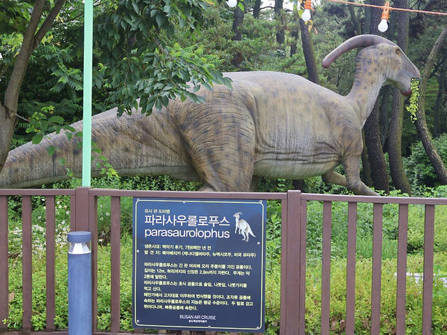 부산 송도 바다 + 공룡볼 수 있는 코스 🌊🦖