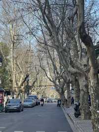 Beautiful street corners in Shanghai