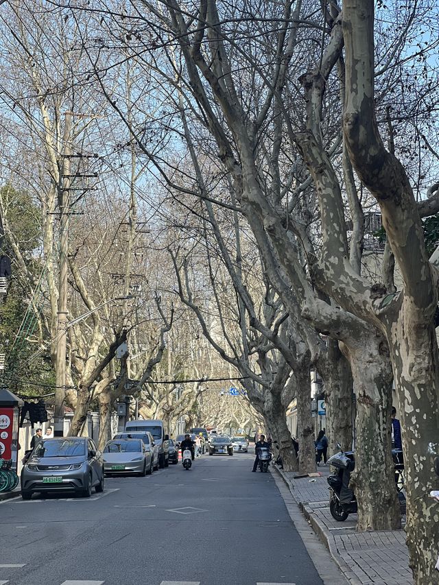 Beautiful street corners in Shanghai