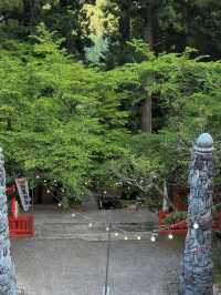 🏯戦国ロマンに浸る旅。武田神社で信玄公の魂にふれる⛩️