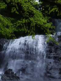 【龍双ヶ滝で心洗われる滝旅】福井の秘境でマイナスイオン全開🌿💧
