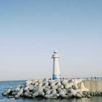 Busan – My Coastal City Escape