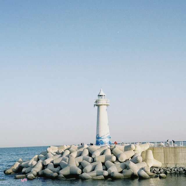 Busan – My Coastal City Escape