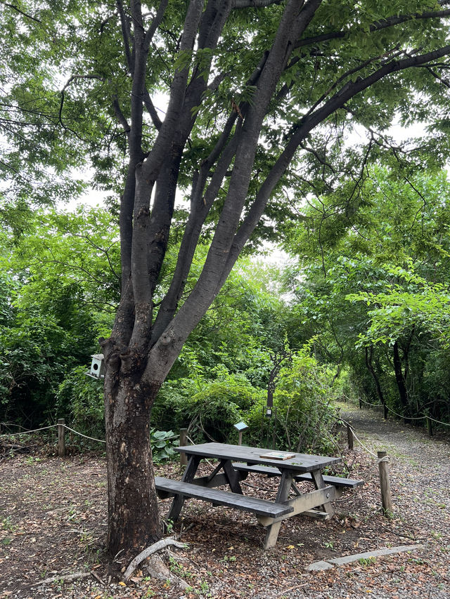 고덕 수변 생태 공원