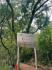 上水古洞水塘 - 隱世打卡心形湖🩵